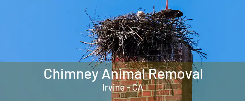 Chimney Animal Removal Irvine - CA