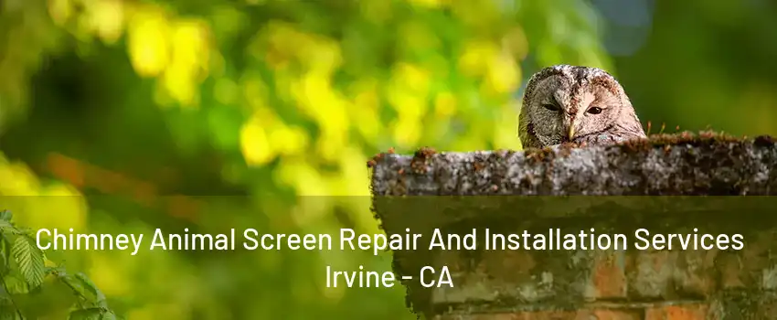 Chimney Animal Screen Repair And Installation Services Irvine - CA