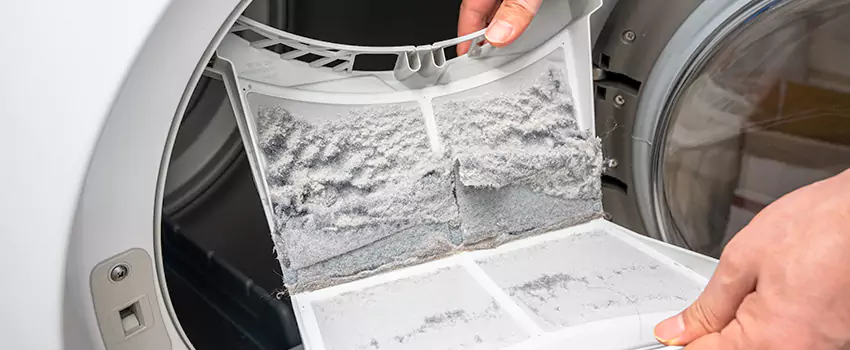 Best Dryer Lint Removal Company in Irvine, California