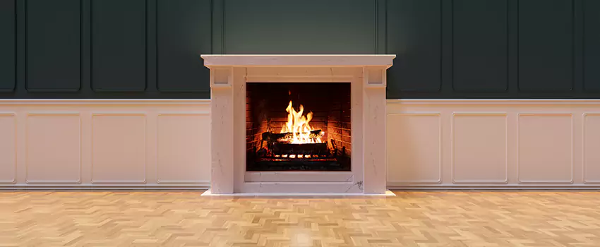 Napoleon Electric Fireplaces Inspection Service in Irvine, California