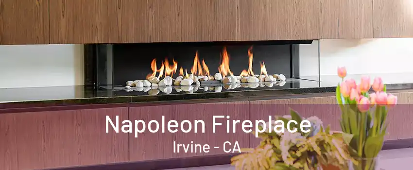 Napoleon Fireplace Irvine - CA